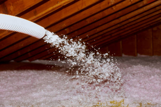 Best Residential Insulation in Hazlehurst, MS