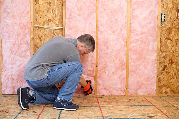 Best Eco-Friendly Insulation in Hazlehurst, MS