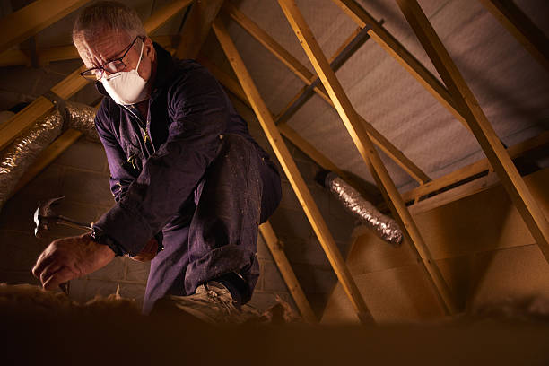 Best Spray Foam Insulation in Hazlehurst, MS