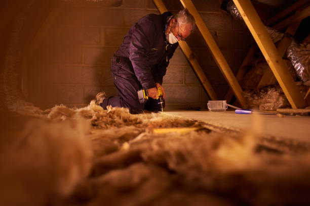 Types of Insulation We Offer in Hazlehurst, MS