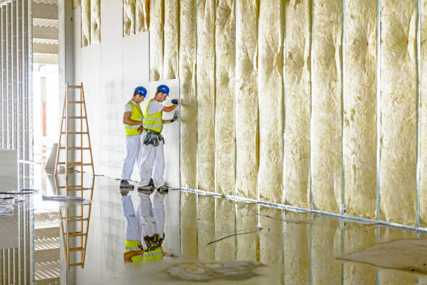 Types of Insulation We Offer in Hazlehurst, MS